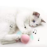 Cat Toy Ball, Cats Catnip Toys with Lifelike Animal Chirping Sounds, Interactive Cat Kicker Toys for Cats Indoor Play, Rotating Chasing Toy for Stimulate Hunting Instinct of Pets