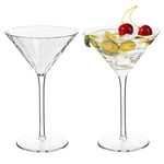 MICHLEY Unbreakable Cocktail Martini Glasses Tritan-Plastic Drinking Goblets Set, Dishwasher Safe and BPA-FREE, Elegant Martini Glasses 260ml set of 2