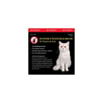 Petwise fästinghalsband katt 35cm, 35cm