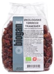 Biogan Tranbär Sötad M. Äppelkonc. EKO - 500 g