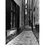 Wee Blue Coo Gamla Stan Stockholm Sweden Stairs Alley Lane Black And White Art Print Poster Wall Decor 12X16 Inch