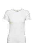 Espenelope Slim Fit T-Shirt Tops T-shirts & Tops Short-sleeved White Esme Studios