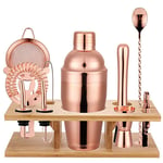 11 Piece Cocktail Making Set Rose Gold Cocktail Shaker Set Stainless Steel Bartender Kit Bar Tool Set with Stand Martini Mixer Drink Mixing Spoon Pour Spouts (750ml,Rose Gold)