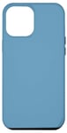 Coque pour iPhone 13 Pro Max Couleur bleue de la qualité de l'air