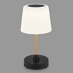 BRILONER Lampe de table LED sans fil avec tactile, intensité variable par niveaux, abat-jour en verre, lampe de chevet, lampe de lecture, lampe LED, lampe de camping, lampe de table, lampe d'extérieur
