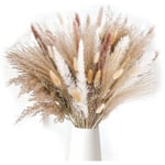 85 st Pampasgräs Dekorativ Vas Heminredning, Torkade Pampasgräs Växter Fluffy Torkade Blommor 43 Cm