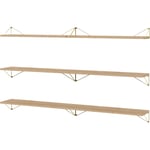 Pythagoras Shelf Set 6 Shelves, Oak / Brass