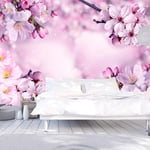 Fototapet - Say Hello to Spring - 200 x 140 cm - Premium