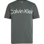 Calvin Klein Sport Pique Gym T-shirt Grön Large Herr