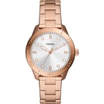 Fossil Ladies Dayle Watch BQ3886