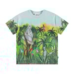 Molo Roxo Short Sleeve T-Shirt Jungle Visitors | Blå | 110 cm