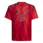 adidas Bayern München Hemmatröja 2024/25 Barn FÖRBESTÄLLNING - adult IT2249