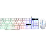 Trådlöst tangentbord och mus-kit GTX300 Combo Kit LED-bakgrundsbelysning, vit