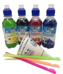 Snowy Cones | Snow Cone Syrup | Not Slush 250 ml, 4-Piece Most Popular Flavours Blue Raspberry, Lemon and Lime, Strawberry, Cola Free Cones and Straws