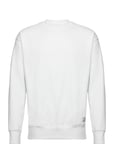 Sdlenz Crew Sw White Solid