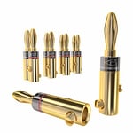 KabelDirekt – Fiches bananes – 5 paires (connecteurs pour câbles d’enceintes jusqu’à 6 mm², pratiques pour raccorder les enceintes HiFi, amplis, ampli-tuners et chaînes stéréo, vissables, dorés)