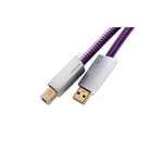 Furutech GT2 Pro Audiophile USB Cable - USB A to Mini B - 0.6m