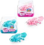 Pets Alive - Swimming Axolots