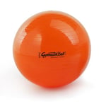 TONKEY ACTIVE LIFE - Ballon Pilates 53 cm - Fitball idéal pour Le Yoga, Le Fitness, Le Gag, la physiothérapie et la réadaptation - Outils et Accessoires pour l'entraînement à la Maison et à la Salle