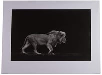 The Art Group Mario Moreno (Majestic) -Art Print 60 x 80cm, Paper, Multicoloured, 60 x 80 x 1.3 cm