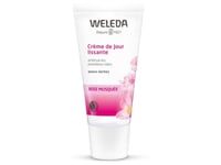 Weleda 4001638089654, Kvinnor, Torr Hud, Ansikte, Anti-Ageing, Anti-Rynk, Elasticitet, Revitaliserande, Utjämnande, Tube, 1 Pk