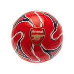 Premier League Arsenal FC Fotball