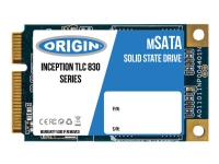 Origin Storage - SSD - 256 GB - inbyggd - mSATA - SATA 6Gb/s - för Lenovo ThinkPad Edge E13X E430 E530 S430 ThinkPad L430 L530 T430 T530 W530 X230