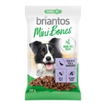 200 g Briantos Mini Bones för hundar Grain Free - 2 x 200 g med lax, morötter och timjan