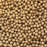 Cybergun - Coyote Premium 6mm BB 0,20g ~2800 pcs