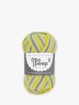 West Yorkshire Spinners Bo Peep Luxury Baby DK Yarn, 50g