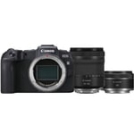 Canon EOS RP + RF 24-105mm F/4.0-7.1 IS STM + RF 50mm F/1.8 STM