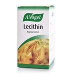 Lecithin