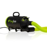 Bigboi Biltork Blowr Mini