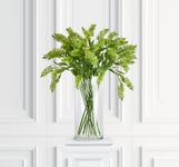 Astilbe snittblomma grön