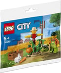 CITY LEGO Polybag Set Farm Garden + Scarecrow Rare Collectable Minifig Set