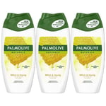 Palmolive Naturals Milk and Honey Shower Gel Cream, 250 ml PACK OF 3