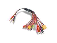 Carson 500906306 Cordon de Charge Multiple 8 en 1, fiche Banane 4mm - Accessoires RC, Accessoires pour modèles réduits, Accessoires pour modèles radiocommandés, Cordon de Charge RC