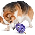 PetSafe Busy Buddy Kibble Nibble Feeder Ball - S (Under 9 kg)