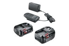 Bosch Professional Batteri-Set 18V 2Ah + 4Ah + AL18V