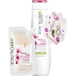 Biolage Collection ColorLast Presentset Shampoo 250 ml + Deep Treatment 100 1 Stk.