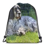 MAY-XCustom Drawstring Backpack,English Setter Dog Leisure Drawstring Bag,Eye-Catching Shoulder Laundry Bags For Adults Boys Girls