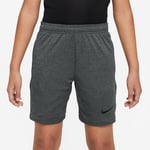 Nike Träningsshorts Dri-FIT Academy - Grå/Svart Barn, storlek L: 147-158 cm
