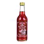 Potions Cauldron Basilisk Blood Mixed Fruit Soda 330ml