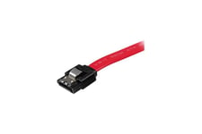 StarTech.com 18in Latching SATA Cable - SATA cable - Serial ATA 150/300/600 - SATA (R) to SATA (R) - 1.5 ft - latched - red - LSATA18 - SATA-kabel - 46 cm