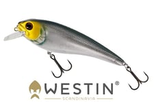 Westin RawBite 17cm/100g - Headlight