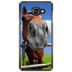 Bjornberry Skal Samsung Galaxy A5 7 (2017)- Häst