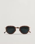 Eyevan 7285 797 Sunglasses Tortoise