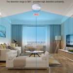 360°Low Voltage Microwave Radar Sensor Light Motion Movement Detector Switch