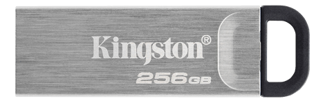 Kingston DataTraveler Kyson USB-minne 256GB 200 MB/s
