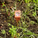 Hydrometer Kikkerland